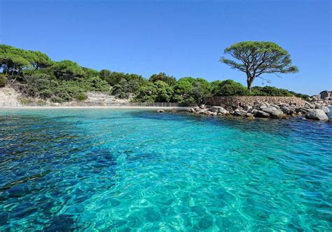 Fond d'ã©cran et photo de corse. Camping U Pirellu à Palombaggia Porto Vecchio Corse du Sud