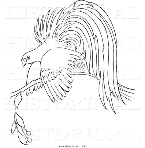 Paradise Coloring Pages at GetDrawings | Free download