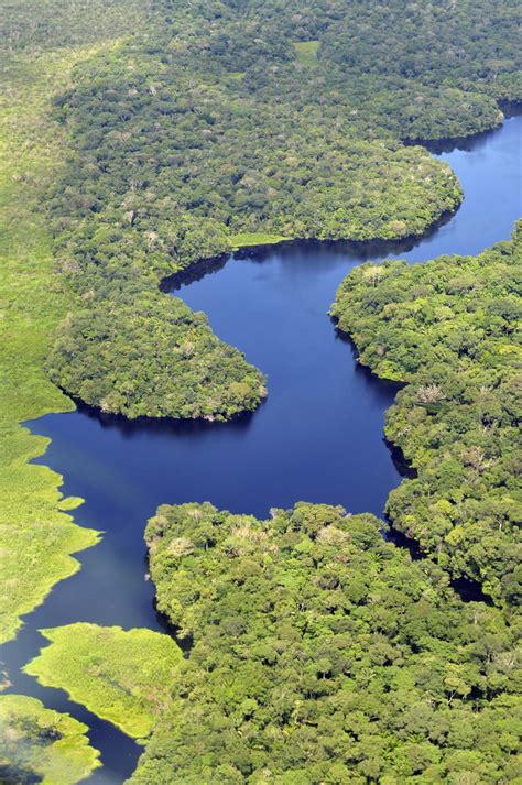 Follow @amazonnews for the latest news from amazon. Amazon Rainforest Gets $215 Million Boost in Protection ...