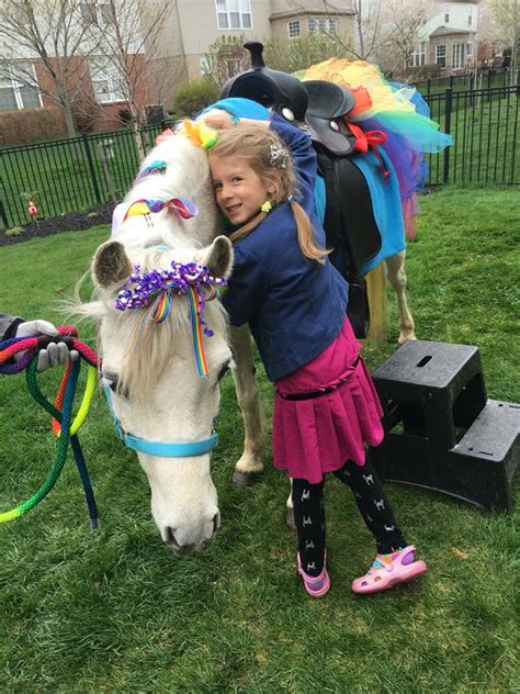 Hire Chamberlin Pony Rides And Mobile Petting Zoo Pony Party In Detroit