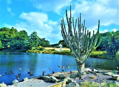 Auckland Botanic Gardens 2020 All You Need To Know Before You Go