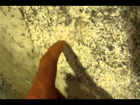 It appears white or light gray, like a coating of unsettled dust. White Mold Removal in Basement on Concrete - YouTube