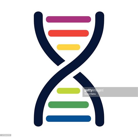 Dna Colored Strands Vector High Res Vector Graphic Getty Images