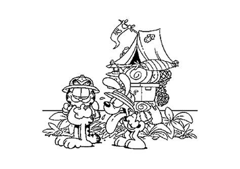 Oleanderhof Groep 8 Kamp