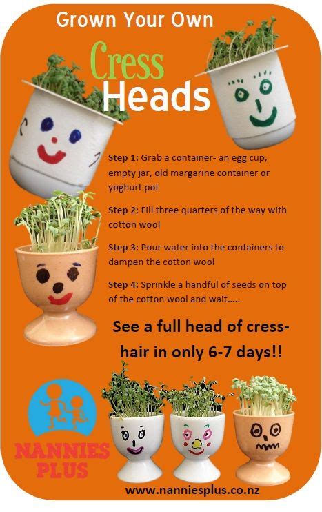 Test out these diy projects that'll bust boredom for good. Grow Cress-Heads in 6-7 Days! Gardening is a great and fun ...