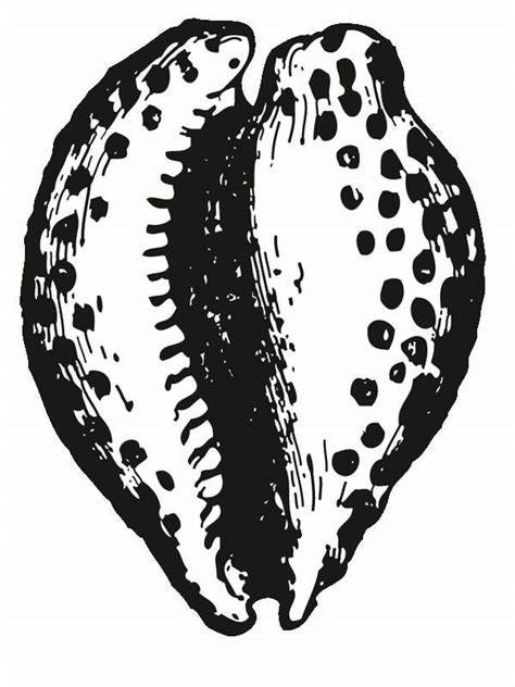 These seashell coloring pages online are not only fun, but also interesting, as they help your kids understand the importance of the beauty of the nature. Realistic Atlantic Bubble Seashell Coloring Page ...