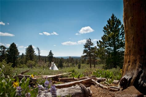 Maybe you would like to learn more about one of these? Modoc National Forest-0138 | Flickr - Photo Sharing!