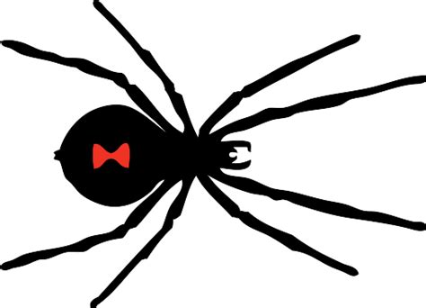 Black Widow Spider Clip Art At Vector Clip Art Online