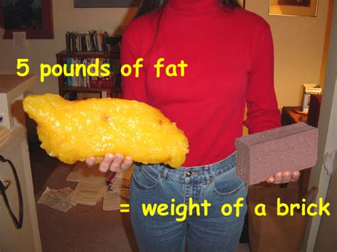 A pound (lb) is a unit of mass within the imperial system of units, a system of weights and measures traditionally used throughout the british empire. WHAT D0ES OVERWEIGHT ACTUALLY MEAN?