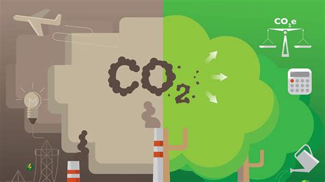 What Is A Carbon Offset And How Does It Work