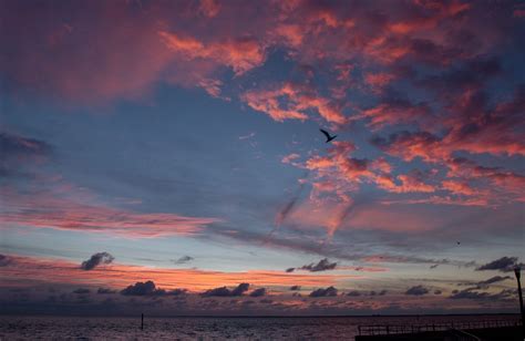 Free Images Sea Water Nature Ocean Horizon Cloud Sunrise