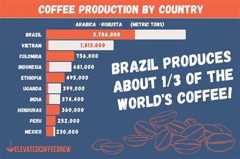 Top 10 Coffee Producing Countries And By Volume