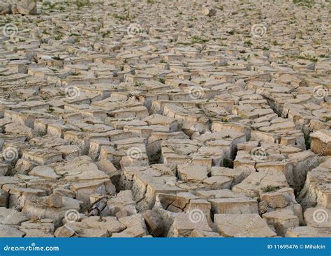Devastated Landscape Stock Photo Image Of Lifeless Earth 11695476