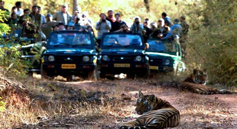 Holiday Packages India Bandhavgarh Delhi Tour Package
