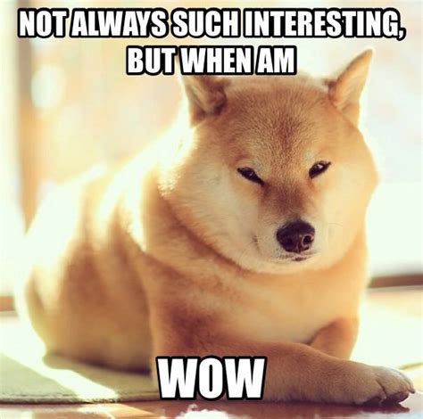 72 Best Images About Such Doge Wow So Much Doge On Pinterest Doge