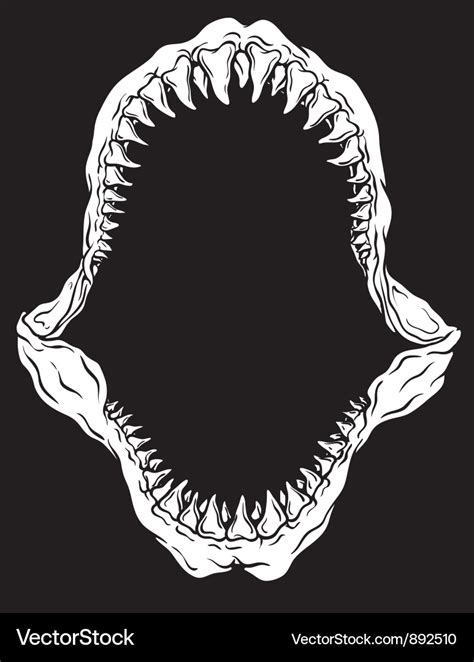 Realistic Shark Mouth Drawing Bmp Get