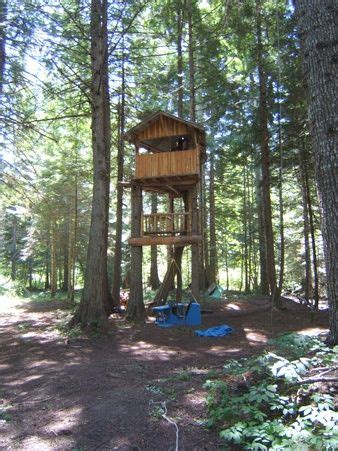 She has been hunting from a cloth ground blind in the past. Our backyard Tree house/deer stand! | Hunting shack, Tree ...