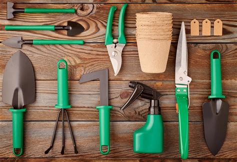 The Best Gardening Tool Sets In 2023 Garden Gate Review