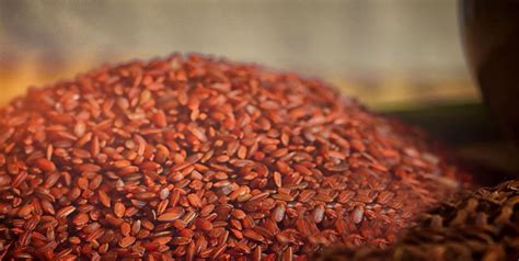Traditional Heirloom Rice From Sri Lanka For Healthy Living Edb Blog