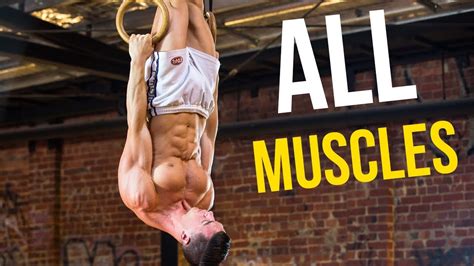 The Ultimate Pulling Exercise Hit All Muscles Youtube