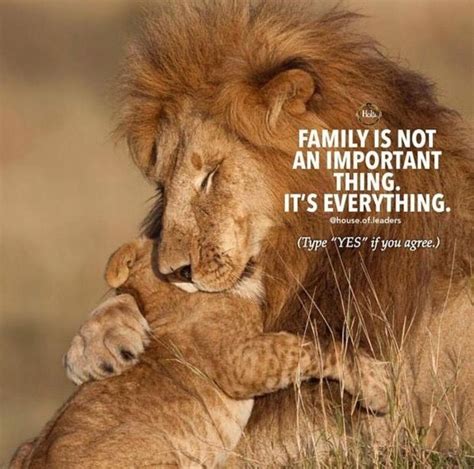 We did not find results for: Pin by LEF on Aww! Better than People | Lion quotes, Lioness quotes, Animal quotes