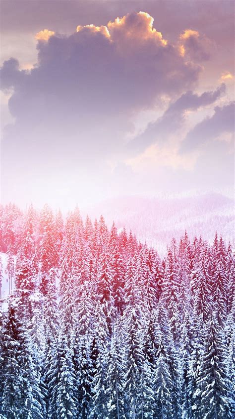 Pretty Winter Backgrounds 51 Images