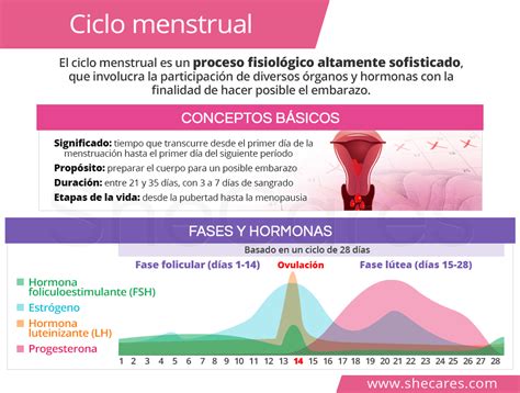 Ciclo Menstrual SheCares