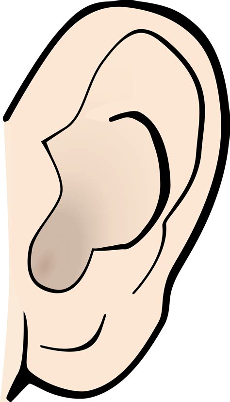 Cartoon Ear Png
