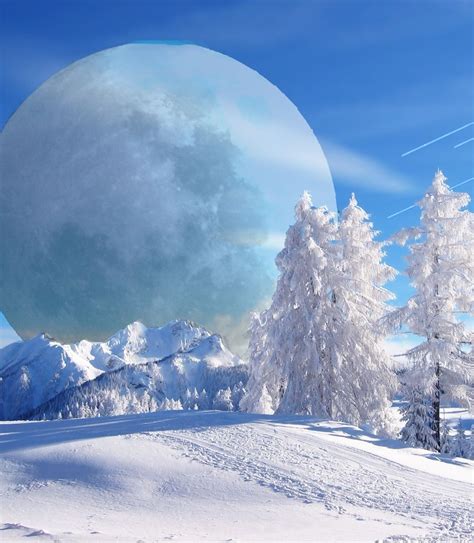 Full Moon In Winter Winter Scenery Winter Pictures Winter Scenes