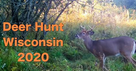 Outdoor Wisconsin Deer Hunt Wisconsin 2020 Pbs