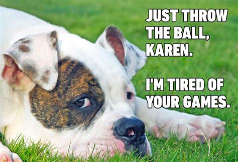 Karen Throw Ball Dog Blog