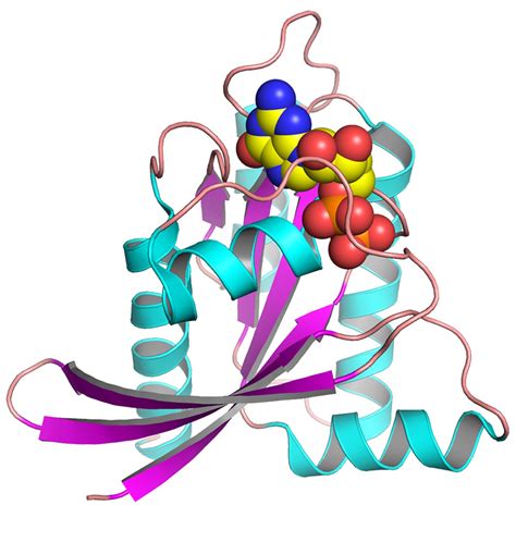 .catalogues of journals published by branch of mathematics of ras. RAS - Target Identification - Structural Biology ...