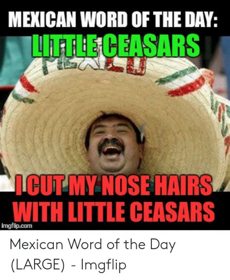 Mexican Word Ofthe Day Meme Generator