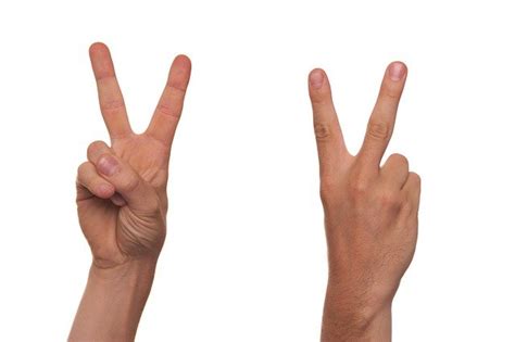 Hand gestures come naturally to us. Free photo: Gesture, Sign Language, Finger, V - Free Image ...