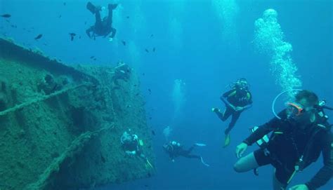 Scuba Diving In Texas Flower Gardens Blue Hole And Aquarium Desertdivers
