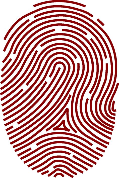 Fingerprint Clip Art Vector Graphics Biometrics Transparency Parmak