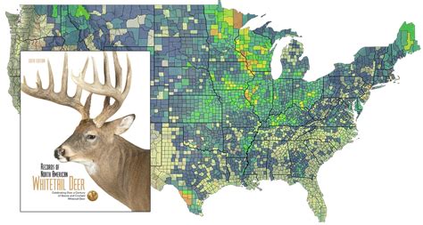 Bandcs 6th Edition Of Records Of North American Whitetail Deer Features