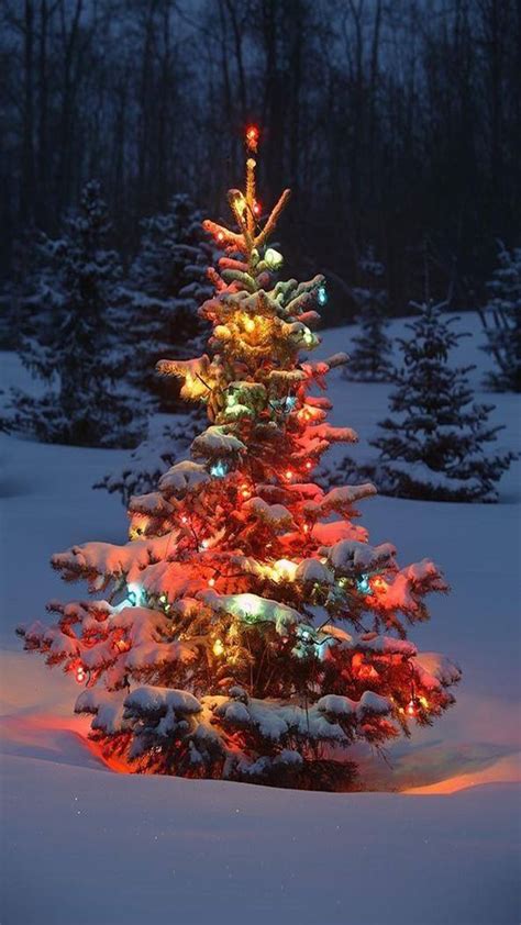 Pin By Michelle On ~christmas~ Outdoor Christmas Tree Outdoor