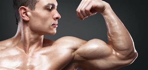 The Best Diet And Workouts For Hardgainers Good Arm Workouts Arm