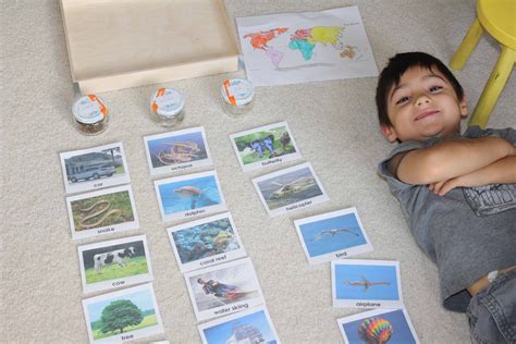 Sorting Land Air Water Montessori Materials Montessori Geography