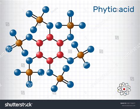 Phytic Acid Fytic Acid Phytate Phytine Stock Vector Royalty Free