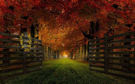 Nature Landscape Gates Path Grass Trees Fall Leaves Wallpapers