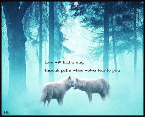 Wolves Poems Modern Award Winning Wolves Poetry All Poetry