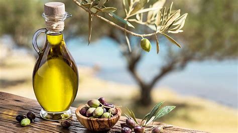 Different Types Of Olive Oil And Their Uses Prakati India