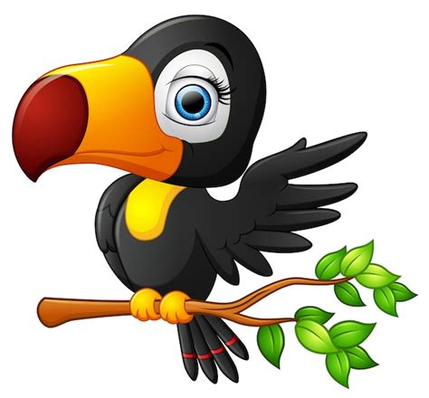 Premium Vector Cute Toucan Bird Cartoon