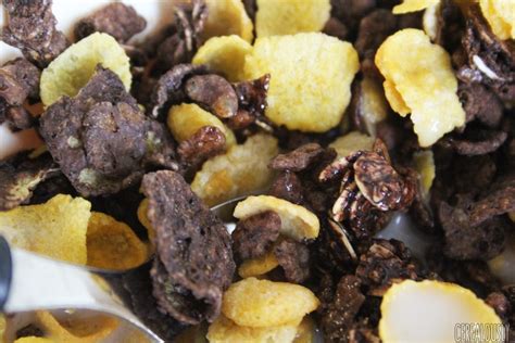 Review: Post Gluten Free Chocolate Honey Bunches of Oats (2016)