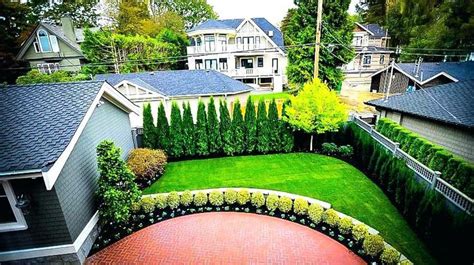 Tall Trees For Neighbor Sides Of Fench Privacy Landscaping Backyard