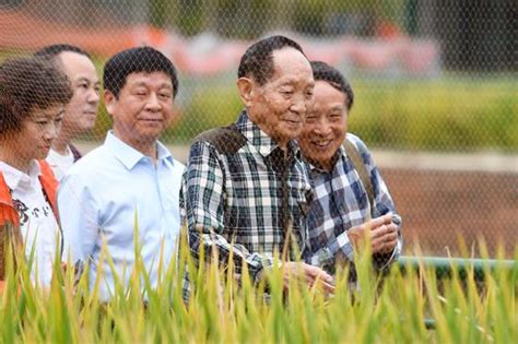 Yuan longping is a chinese agronomist, known for developing the first hybrid rice varieties in 1973. Yuan Longping launches plan to expand growth of saline ...