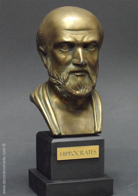 Bust Of De Hippocrates Bronze Patina 25cm Decorar Con Arte