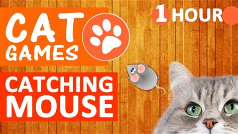 Cat Games Catching Mouse Entertainment Game For Cats To Watch Mice